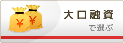 大口融資で選ぶ